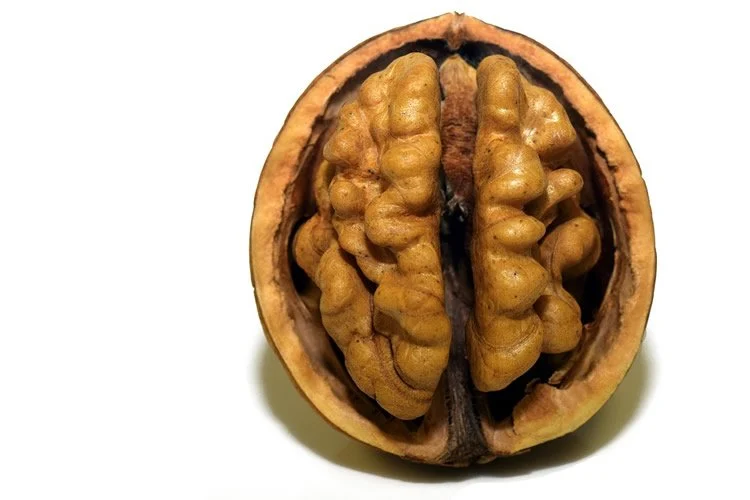 Walnuts natural brain food